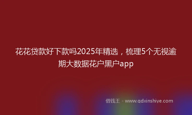 花花贷款好下款吗2025年精选，梳理5个无视逾期大数据花户黑户app