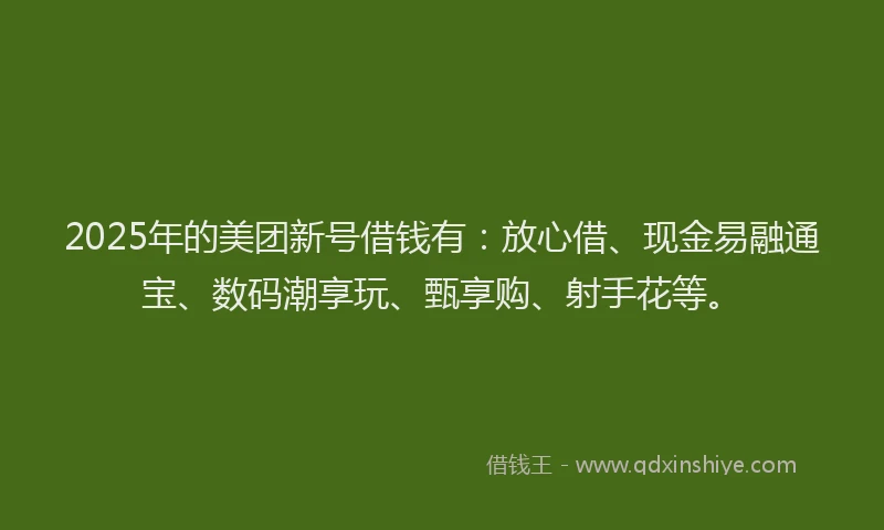 2025年的美团新号借钱有：放心借、现金易融通宝、数码潮享玩、甄享购、射手花等。