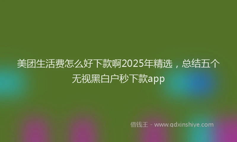 美团生活费怎么好下款啊2025年精选，总结五个无视黑白户秒下款app