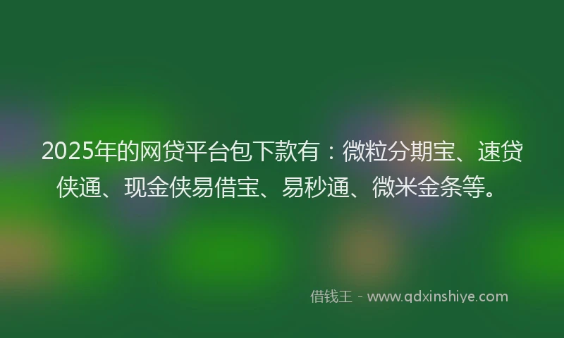 2025年的网贷平台包下款有：微粒分期宝、速贷侠通、现金侠易借宝、易秒通、微米金条等。