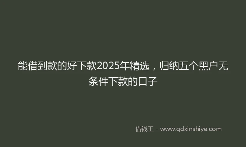 能借到款的好下款2025年精选，归纳五个黑户无条件下款的口子