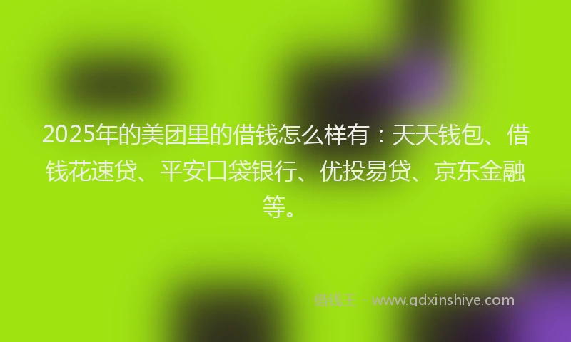 2025年的美团里的借钱怎么样有：天天钱包、借钱花速贷、平安口袋银行、优投易贷、京东金融等。