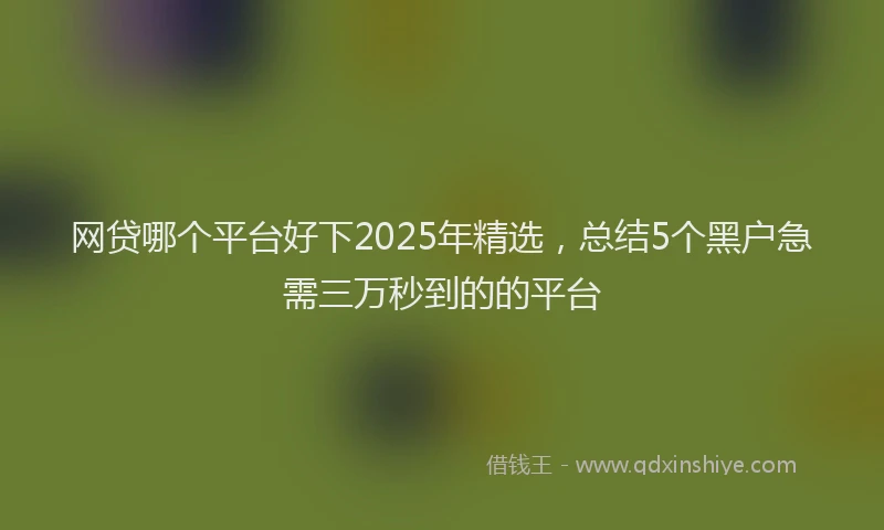 网贷哪个平台好下2025年精选，总结5个黑户急需三万秒到的的平台