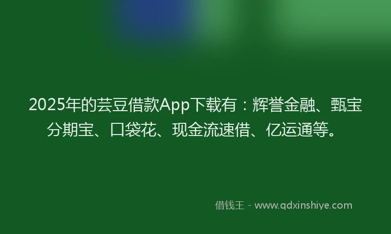 2025年的芸豆借款App下载有：辉誉金融、甄宝分期宝、口袋花、现金流速借、亿运通等。