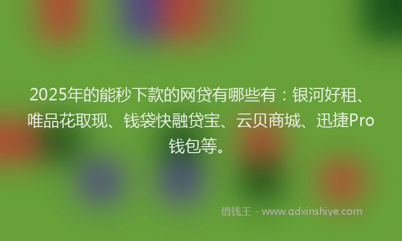 2025年的能秒下款的网贷有哪些有：银河好租、唯品花取现、钱袋快融贷宝、云贝商城、迅捷Pro钱包等。