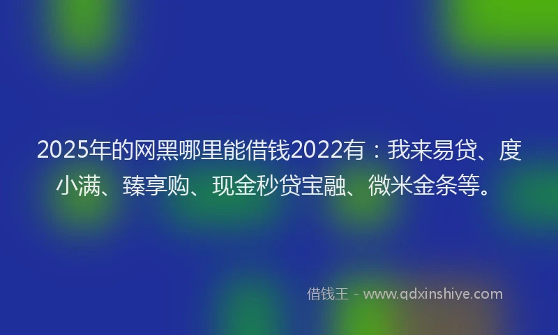 2025年的网黑哪里能借钱2022有：我来易贷、度小满、臻享购、现金秒贷宝融、微米金条等。