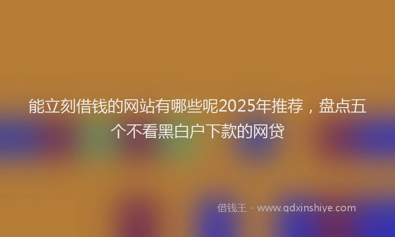 能立刻借钱的网站有哪些呢2025年推荐，盘点五个不看黑白户下款的网贷