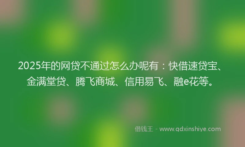 2025年的网贷不通过怎么办呢有：快借速贷宝、金满堂贷、腾飞商城、信用易飞、融e花等。