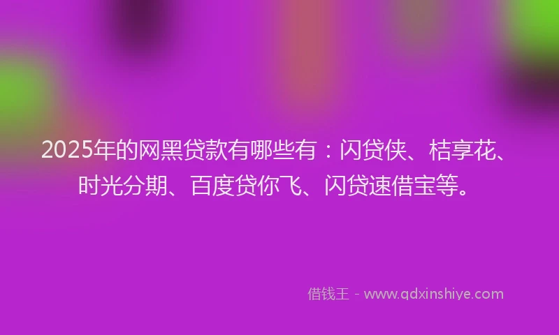 2025年的网黑贷款有哪些有：闪贷侠、桔享花、时光分期、百度贷你飞、闪贷速借宝等。