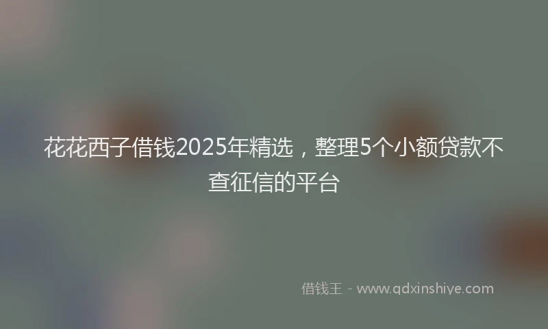花花西子借钱2025年精选，整理5个小额贷款不查征信的平台