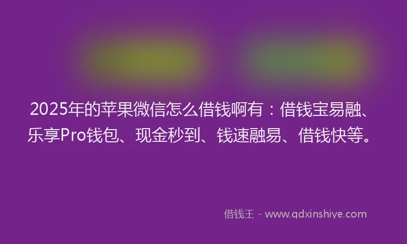 2025年的苹果微信怎么借钱啊有：借钱宝易融、乐享Pro钱包、现金秒到、钱速融易、借钱快等。