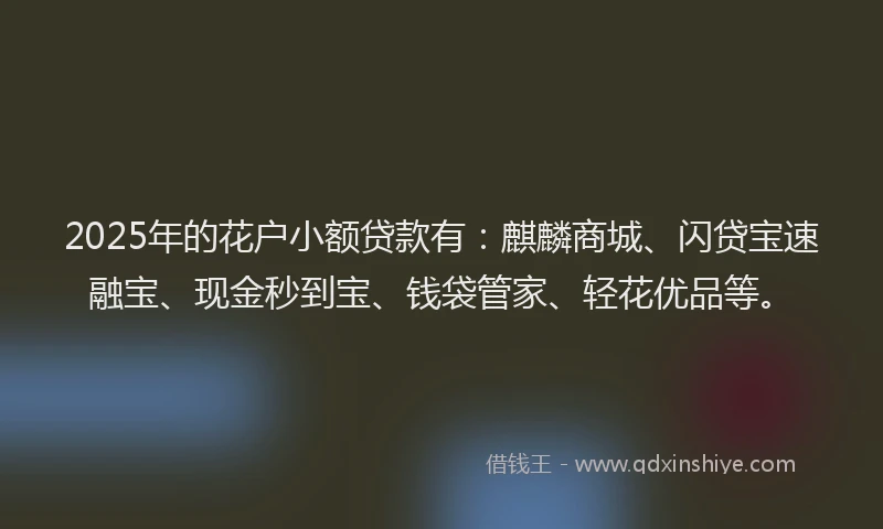 2025年的花户小额贷款有：麒麟商城、闪贷宝速融宝、现金秒到宝、钱袋管家、轻花优品等。