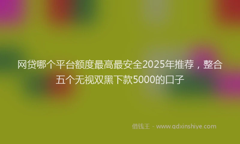 网贷哪个平台额度最高最安全2025年推荐，整合五个无视双黑下款5000的口子