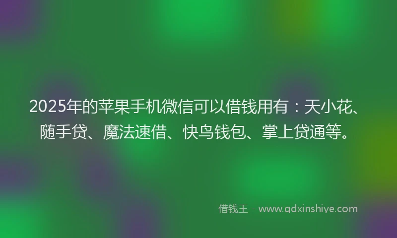 2025年的苹果手机微信可以借钱用有：天小花、随手贷、魔法速借、快鸟钱包、掌上贷通等。