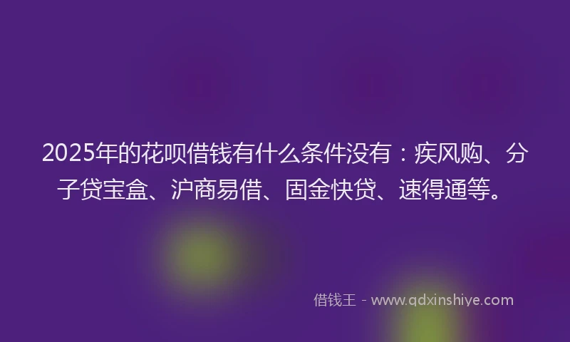 2025年的花呗借钱有什么条件没有：疾风购、分子贷宝盒、沪商易借、固金快贷、速得通等。