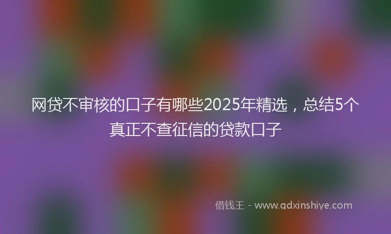 网贷不审核的口子有哪些2025年精选，总结5个真正不查征信的贷款口子