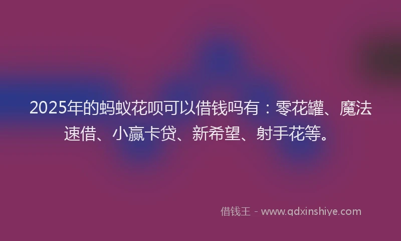 2025年的蚂蚁花呗可以借钱吗有：零花罐、魔法速借、小赢卡贷、新希望、射手花等。