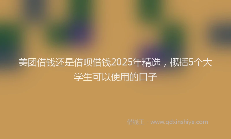 美团借钱还是借呗借钱2025年精选，概括5个大学生可以使用的口子