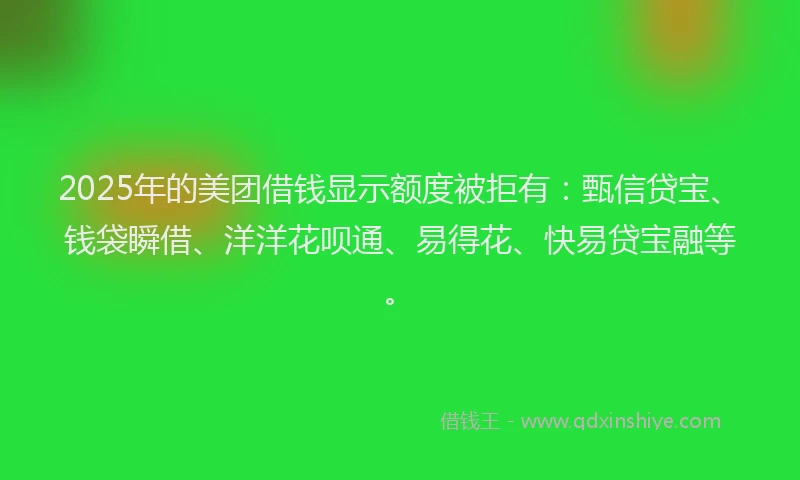 2025年的美团借钱显示额度被拒有：甄信贷宝、钱袋瞬借、洋洋花呗通、易得花、快易贷宝融等。