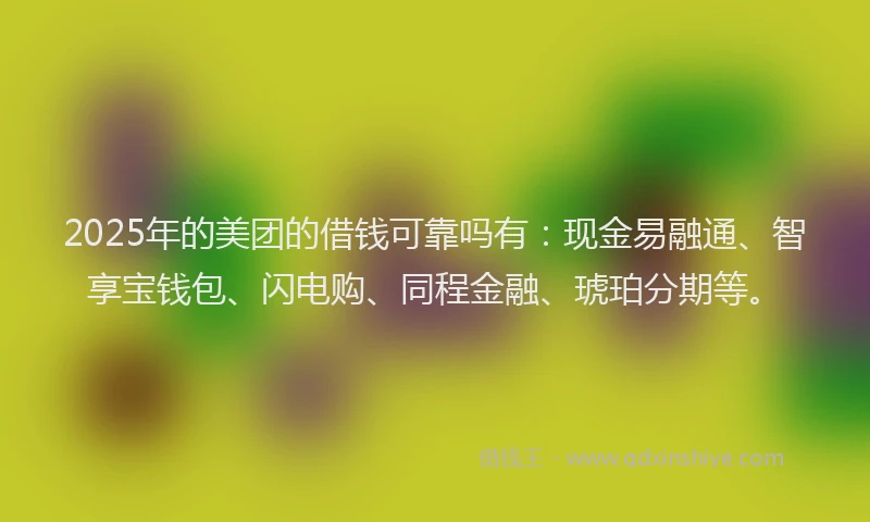 2025年的美团的借钱可靠吗有：现金易融通、智享宝钱包、闪电购、同程金融、琥珀分期等。
