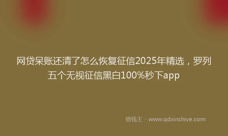 网贷呆账还清了怎么恢复征信2025年精选，罗列五个无视征信黑白100%秒下app