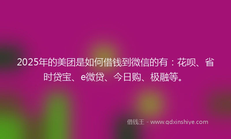 2025年的美团是如何借钱到微信的有：花呗、省时贷宝、e微贷、今日购、极融等。