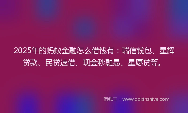 2025年的蚂蚁金融怎么借钱有：瑞信钱包、星辉贷款、民贷速借、现金秒融易、星愿贷等。