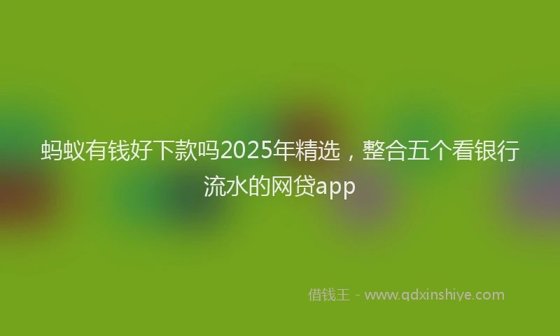 蚂蚁有钱好下款吗2025年精选，整合五个看银行流水的网贷app
