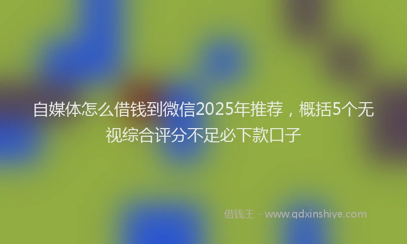 自媒体怎么借钱到微信2025年推荐，概括5个无视综合评分不足必下款口子