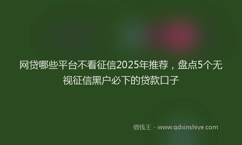 网贷哪些平台不看征信2025年推荐，盘点5个无视征信黑户必下的贷款口子