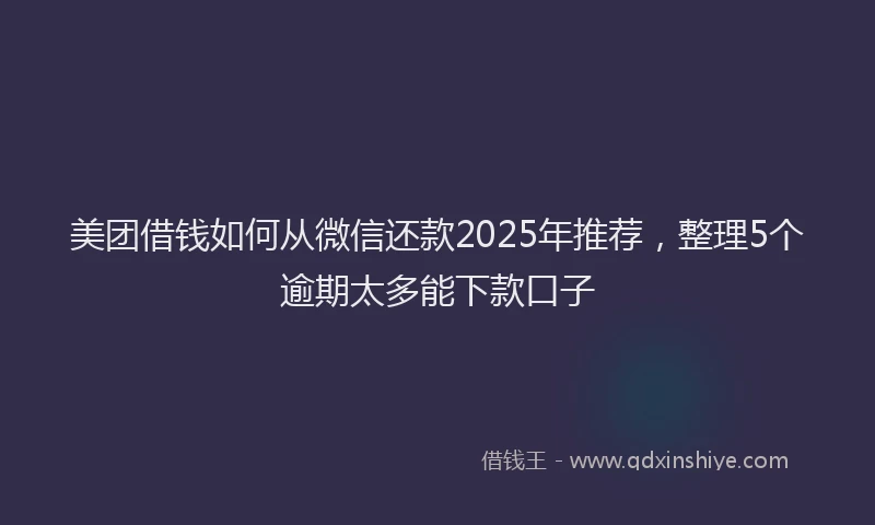 美团借钱如何从微信还款2025年推荐，整理5个逾期太多能下款口子
