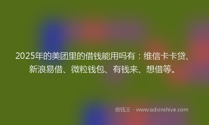 2025年的美团里的借钱能用吗有：维信卡卡贷、新浪易借、微粒钱包、有钱来、想借等。