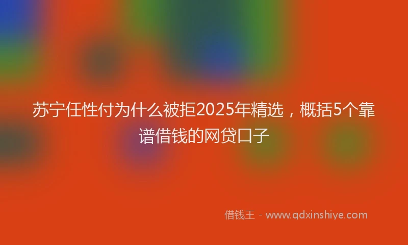 苏宁任性付为什么被拒2025年精选，概括5个靠谱借钱的网贷口子