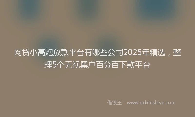 网贷小高炮放款平台有哪些公司2025年精选，整理5个无视黑户百分百下款平台