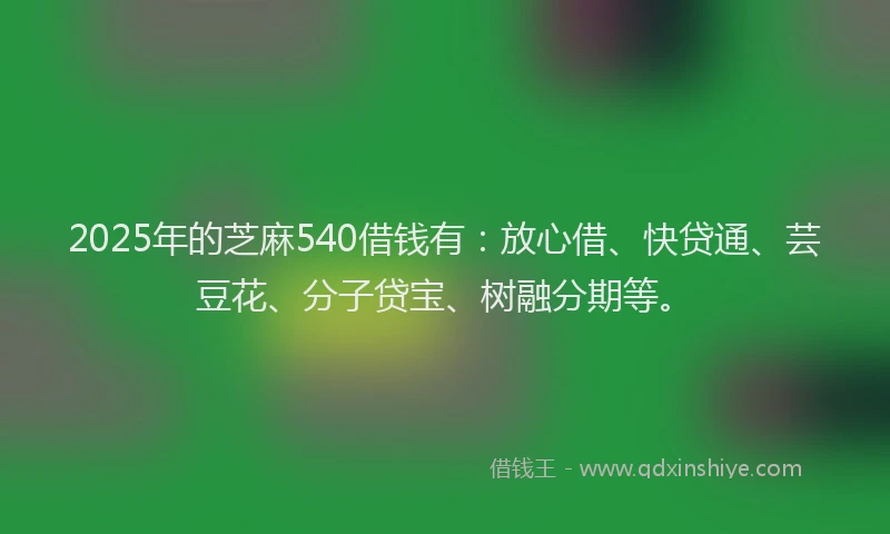 2025年的芝麻540借钱有：放心借、快贷通、芸豆花、分子贷宝、树融分期等。