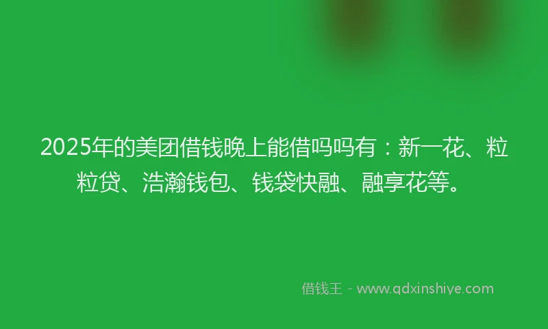 2025年的美团借钱晚上能借吗吗有：新一花、粒粒贷、浩瀚钱包、钱袋快融、融享花等。