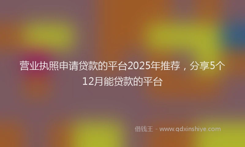 营业执照申请贷款的平台2025年推荐，分享5个12月能贷款的平台