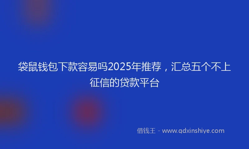 袋鼠钱包下款容易吗2025年推荐，汇总五个不上征信的贷款平台