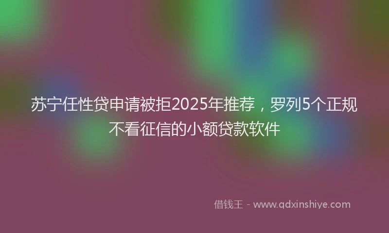 苏宁任性贷申请被拒2025年推荐，罗列5个正规不看征信的小额贷款软件