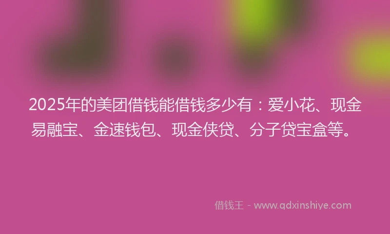 2025年的美团借钱能借钱多少有：爱小花、现金易融宝、金速钱包、现金侠贷、分子贷宝盒等。