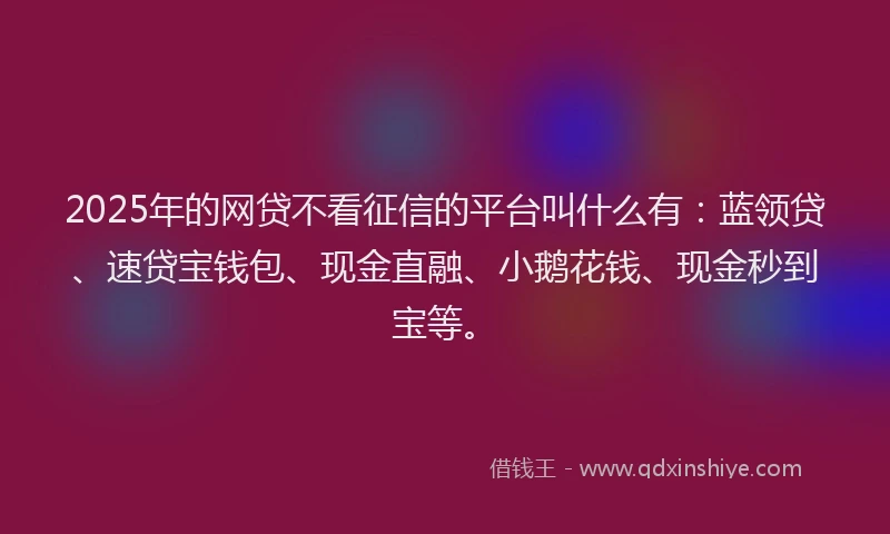 2025年的网贷不看征信的平台叫什么有：蓝领贷、速贷宝钱包、现金直融、小鹅花钱、现金秒到宝等。