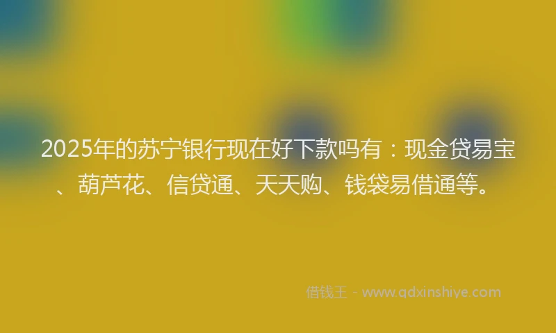 2025年的苏宁银行现在好下款吗有：现金贷易宝、葫芦花、信贷通、天天购、钱袋易借通等。