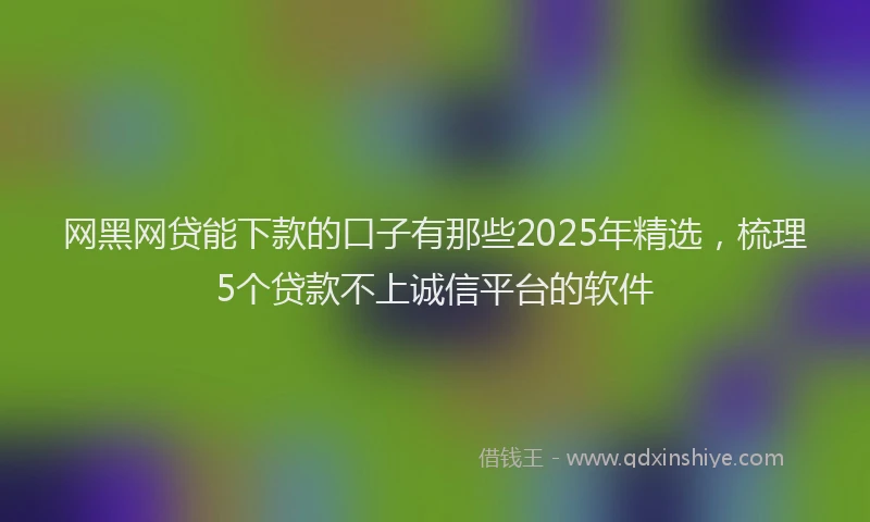 网黑网贷能下款的口子有那些2025年精选，梳理5个贷款不上诚信平台的软件