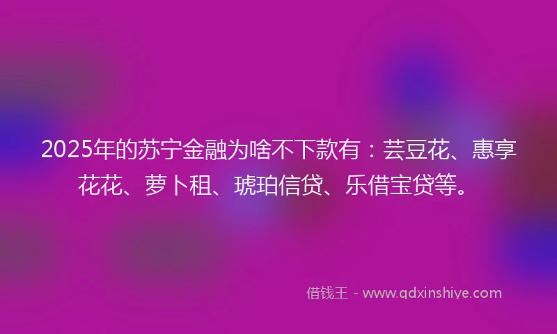 2025年的苏宁金融为啥不下款有：芸豆花、惠享花花、萝卜租、琥珀信贷、乐借宝贷等。