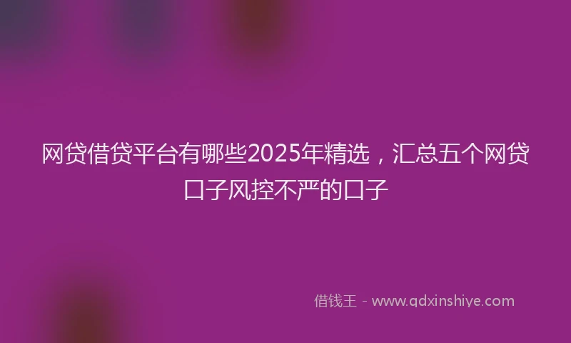 网贷借贷平台有哪些2025年精选，汇总五个网贷口子风控不严的口子