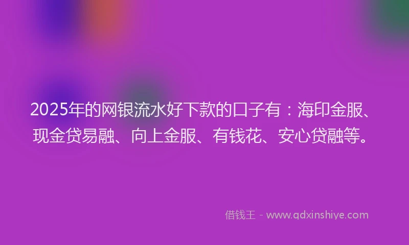 2025年的网银流水好下款的口子有：海印金服、现金贷易融、向上金服、有钱花、安心贷融等。