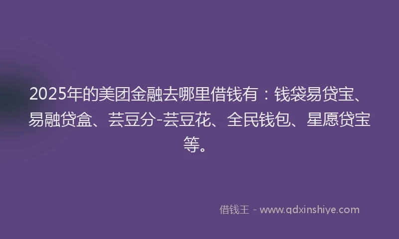 2025年的美团金融去哪里借钱有：钱袋易贷宝、易融贷盒、芸豆分-芸豆花、全民钱包、星愿贷宝等。