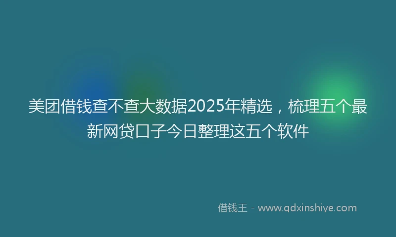 美团借钱查不查大数据2025年精选，梳理五个最新网贷口子今日整理这五个软件