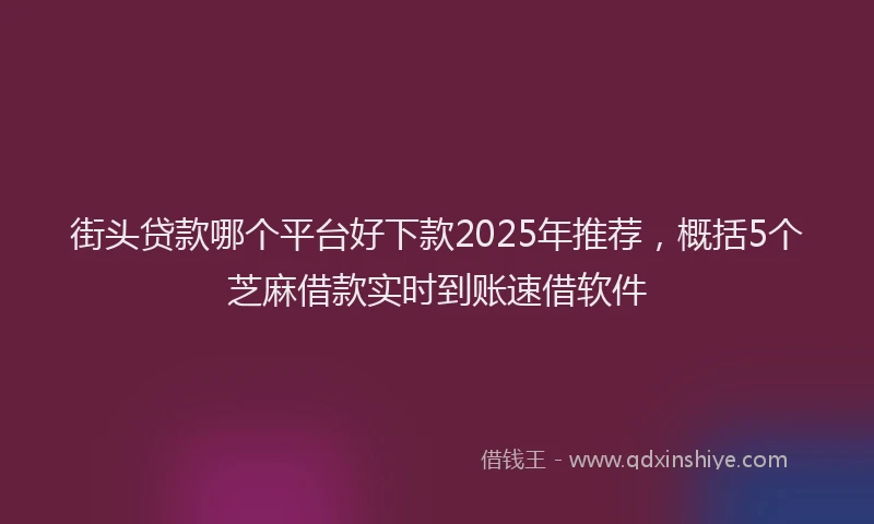 街头贷款哪个平台好下款2025年推荐，概括5个芝麻借款实时到账速借软件