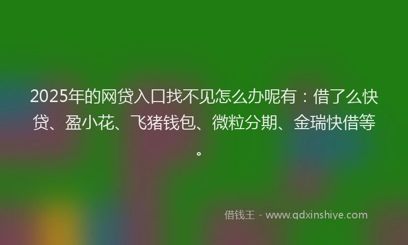 2025年的网贷入口找不见怎么办呢有：借了么快贷、盈小花、飞猪钱包、微粒分期、金瑞快借等。